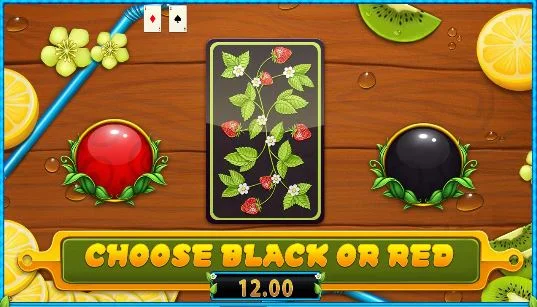 Fresh Fortune double gamble option
