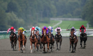Horses Racing