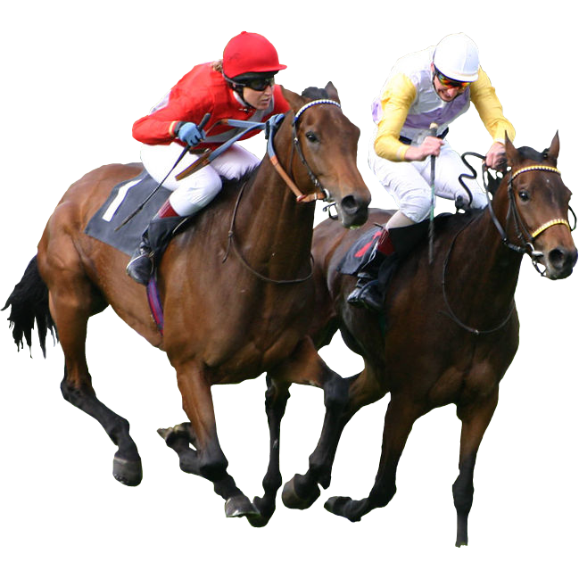 amazing-horse-racing-game-online-free-77777-games