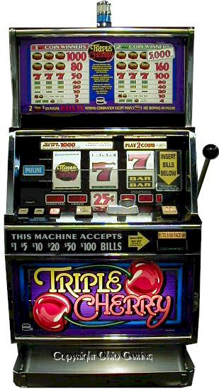 dolphin pearls slot